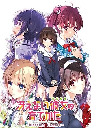 Saenai Heroine No Sodatekata Bd