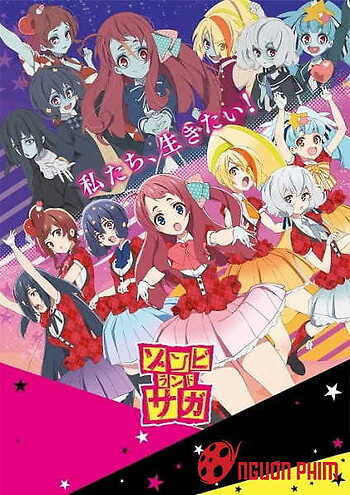 Zombieland Saga Bd