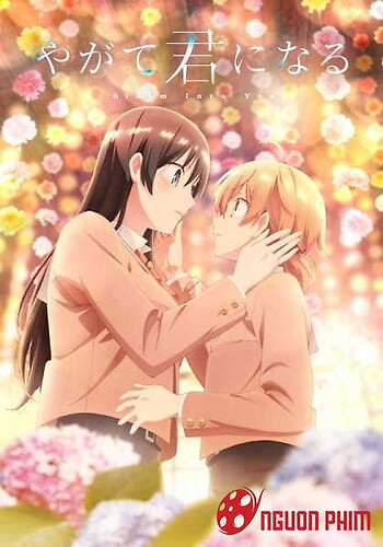 Yagate Kimi Ni Naru Bd