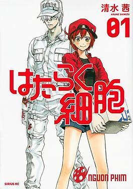 Hataraku Saibou