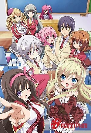 Noucome