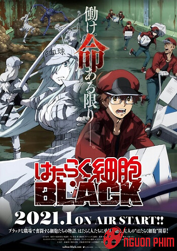 Cells At Work! Code Black