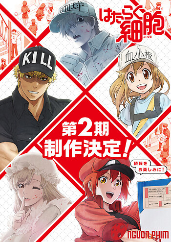 Hataraku Saibou!!, Cells At Work! 2Nd Season