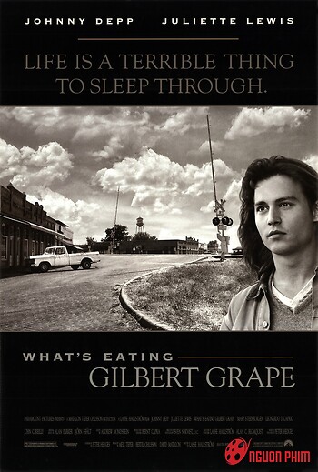 Điều Gì Đang Ăn Mòn Gilbert Grape