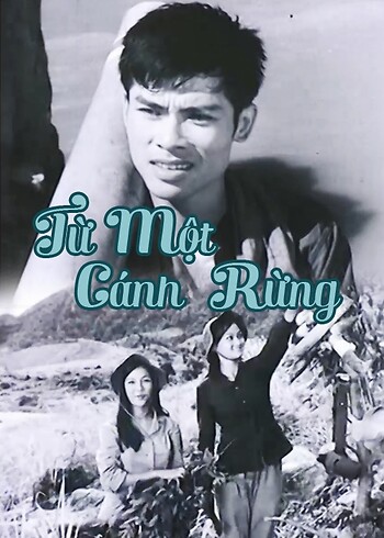 Từ Một Cánh Rừng