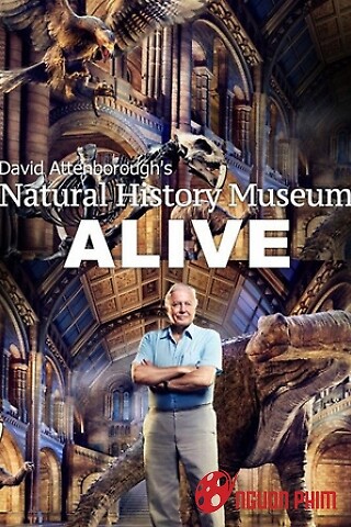 Bảo Tàng Lịch Sử Tự Nhiên Sống Của David Attenborough