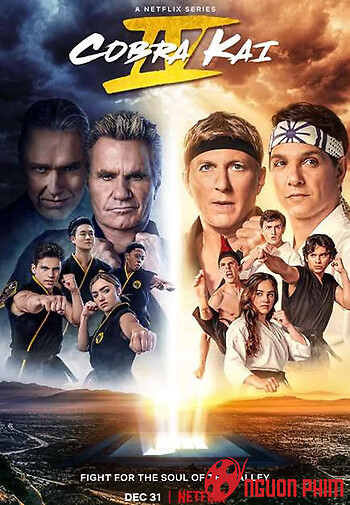 Võ Đường Cobra Kai (Phần 4)