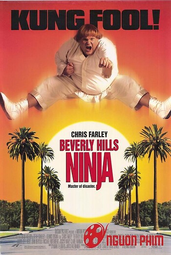 Ninja Đại Náo Beverly Hills