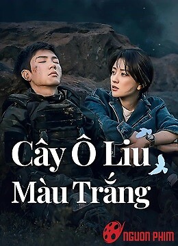 Cây Ô Liu Màu Trắng