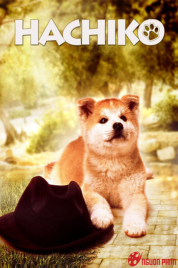 Câu Chuyện Về Chú Chó Hachiko