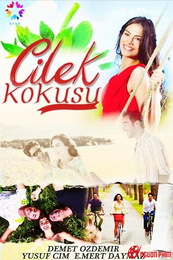 Cilek Kokusu