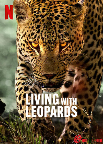 Living With Leopards