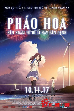 Pháo Hoa, Nên Ngắm Từ Dưới Hay Bên Cạnh