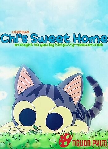 Chi's Sweet Home