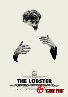 The Lobster