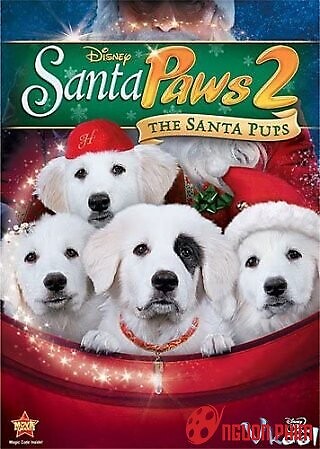 Câu Chuyện Về Santa Pups