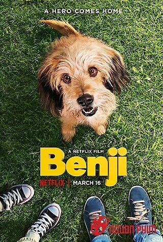 Chú Chó Benji