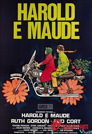 Harold Và Maude