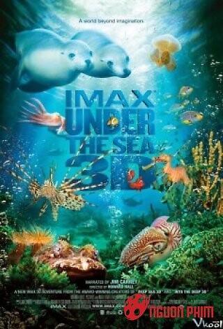 Imax: Under The Sea