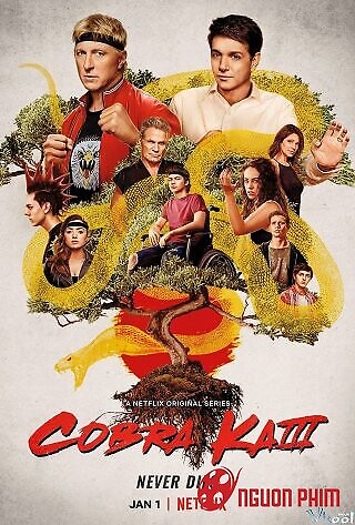 Võ Quán Karate Cobra Kai 3