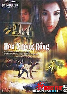 Hoa Xương Rồng